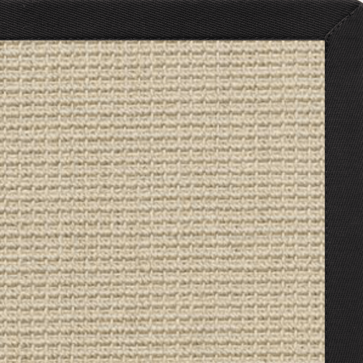 Posh Rug Linen Color Brasilia Sisal Rug with Lava Cotton Border