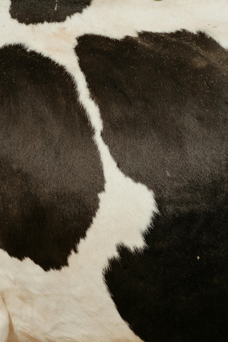 Cowhide Rugs