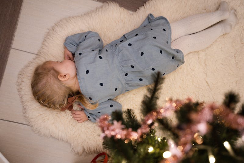 Sheepskin Rugs