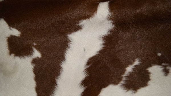 Brown Cowhide Print Hand-Tufted Area Rug, 2x3 – Stain Resistant alternate view