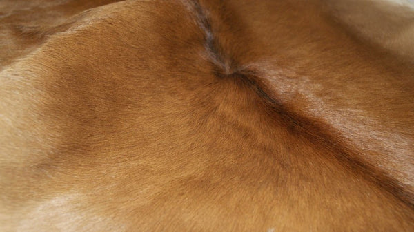 Tan Cowhide Print Area Rug – Soft, Handcrafted Accent alternate view