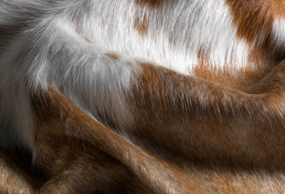 Black Cowhide Animal Print Rug – Modern Statement Decor