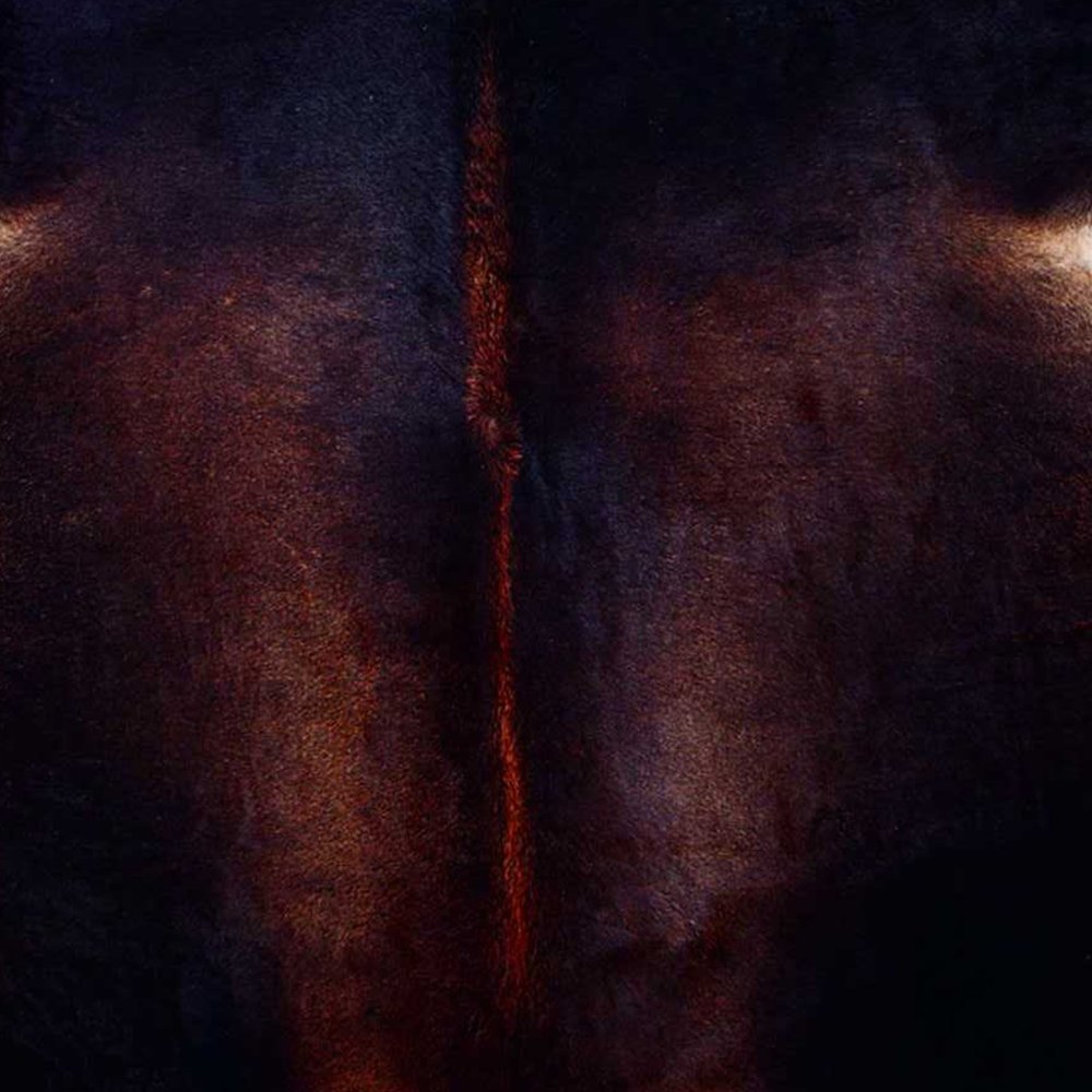 Cowhide Area Rug – Brown & Black Modern Accent