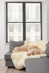 4' X 6' Natural Genuine Sheepskin Handmade Area Rug 3