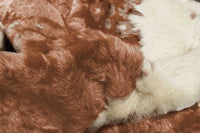 Faux Cowhide Area Rug – Brown & Ivory Animal Print — cowhide area rug 2