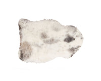2' X 3' Ivory, Black & Gray Spotted Shag Sheepskin Area Rug 1