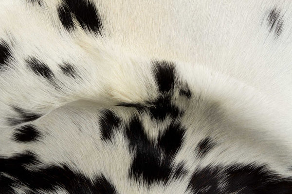 Black Cowhide Print Handwoven Rug – Modern Accent alternate view