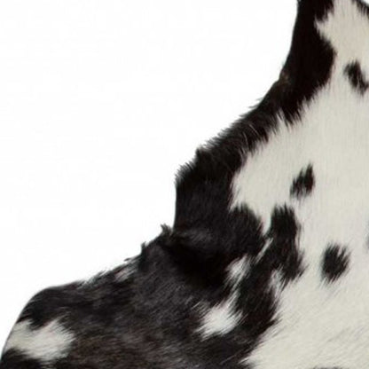 **Black Cowhide Print Handwoven Rug – Modern Accent**