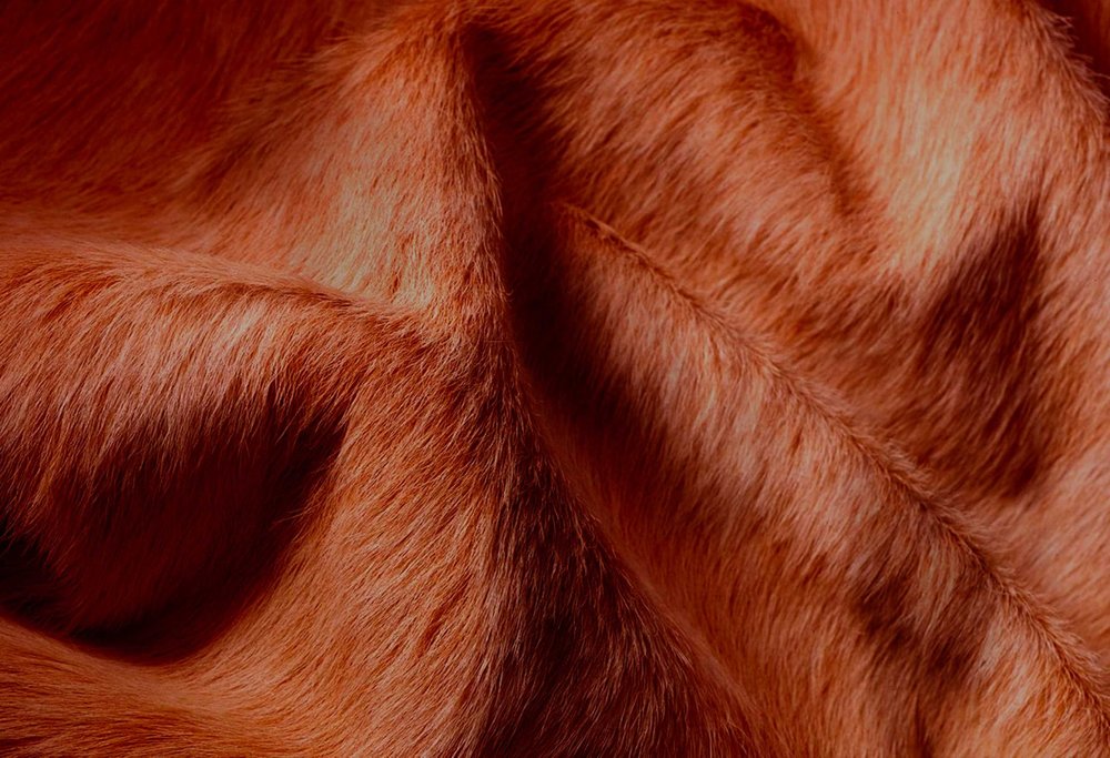 Brown Cowhide Area Rug – Modern Textured Accent