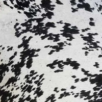 Natural Cowhide Rug – Handmade Luxury Area Accent 24