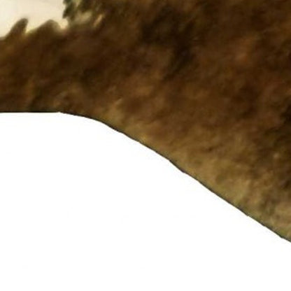 Cowhide Area Rug – Handmade Black & White Accent