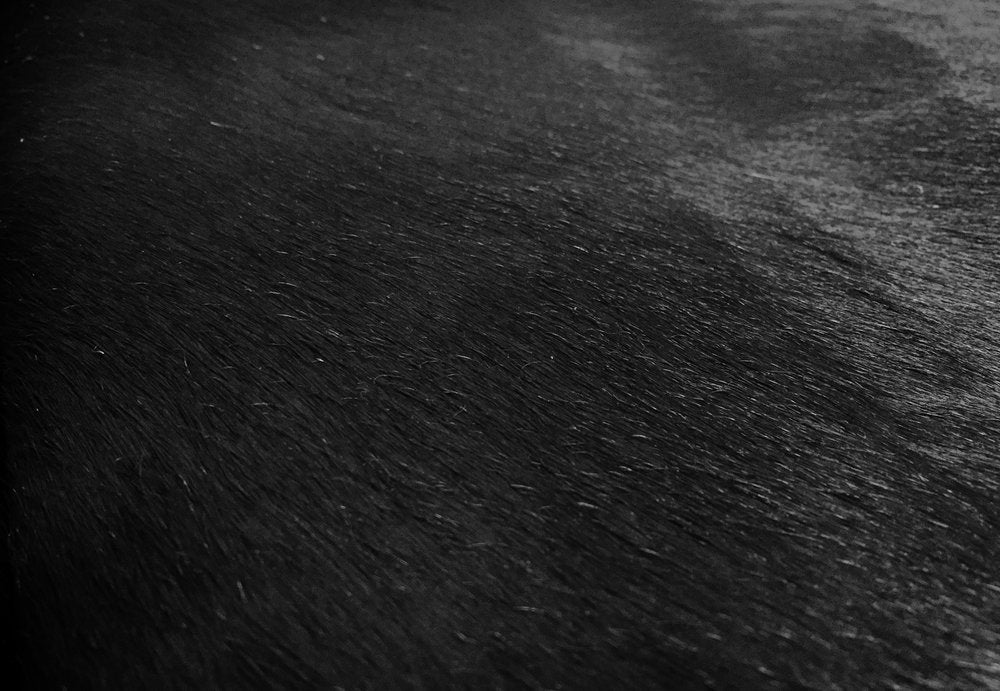 Cowhide Area Rug – Handmade Black & White Accent