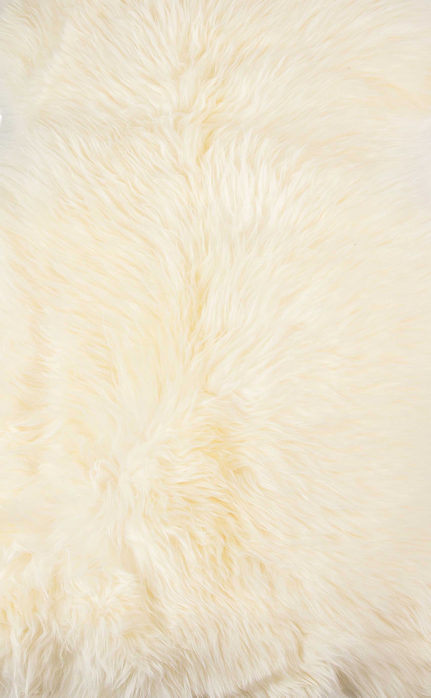 2' X 3' Ivory New Zealand Natural Sheepskin Rug