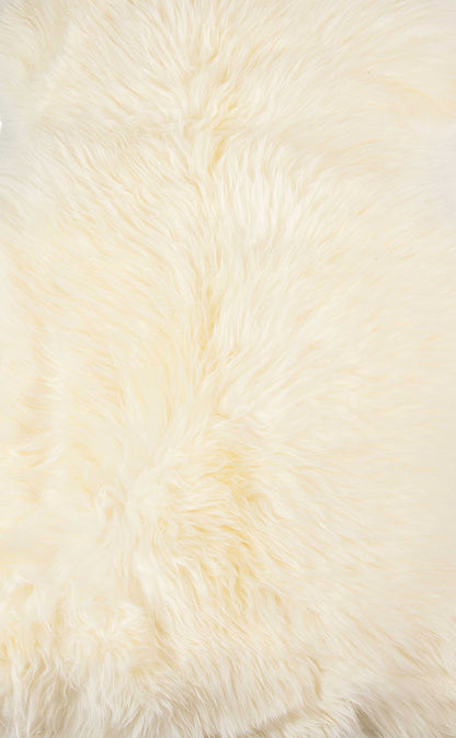 2' X 3' Ivory New Zealand Natural Sheepskin Rug