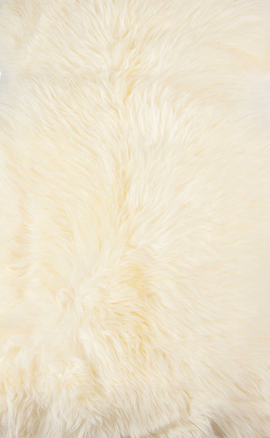 2' X 3' Ivory New Zealand Natural Sheepskin Rug