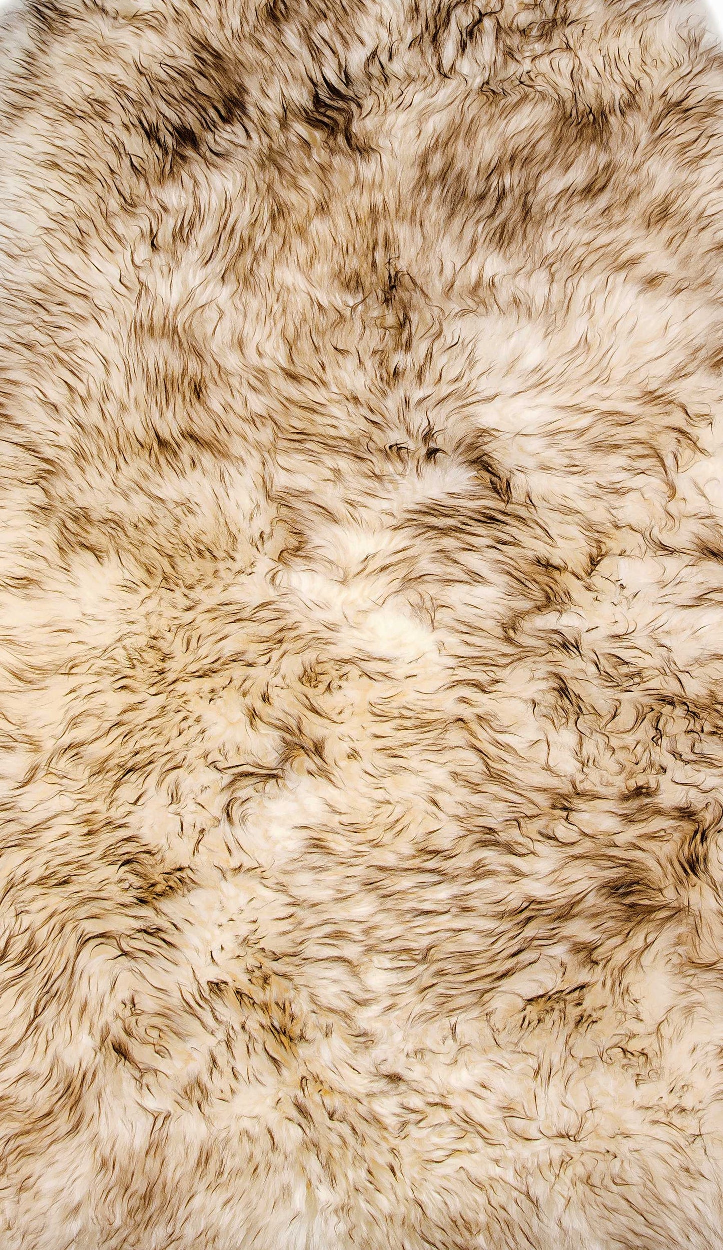 2' X 3' Ivory New Zealand Natural Sheepskin Rug