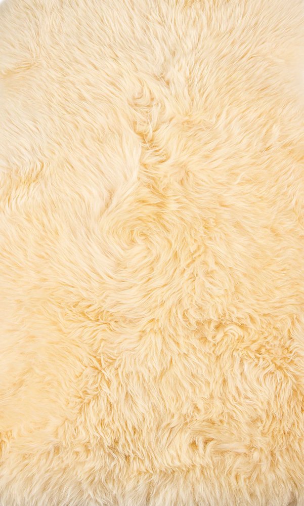 "2' x 3' Beige Shag Area Rug - Luxurious Softness for Cozy Home Decor"