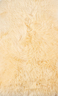 2' X 3' Beige Shag Area Rug 1
