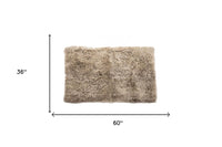 3' X 5' Taupe Genuine Sheepskin Area Rug 7