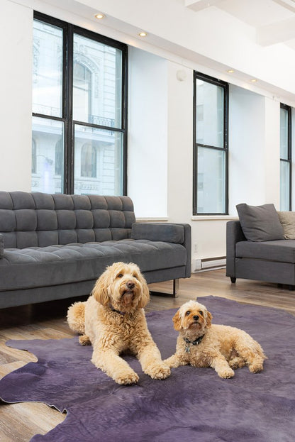 6' X 7' Fuchsia Cowhide Hand Knotted Area Rug