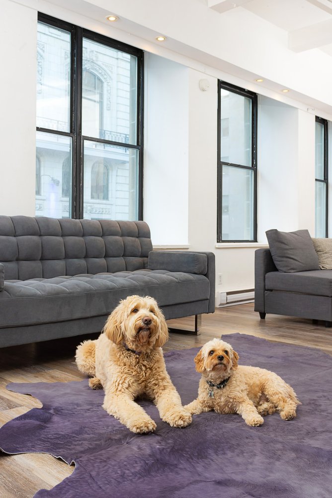 6' X 7' Fuchsia Cowhide Hand Knotted Area Rug