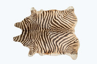 Cowhide Area Rug – Hand Knotted, Stain Resistant, Beige & Brown — cowhide area rug 1