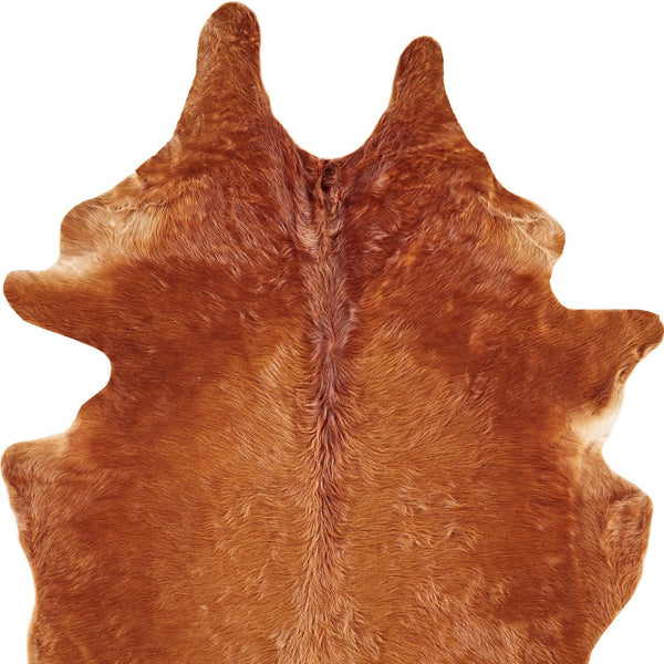 Brown Genuine Cowhide Area Rug alternate view