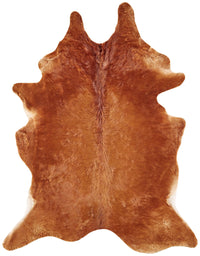 Brown Genuine Cowhide Area Rug 4