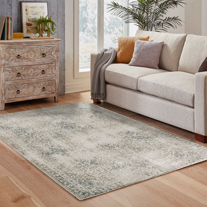 Alton Grey Beige Vintage Oriental Indoor Rug