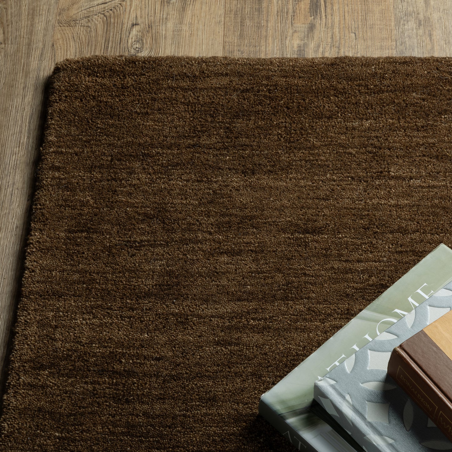 Aniston II Brown Brown Casual Solid Indoor Rug