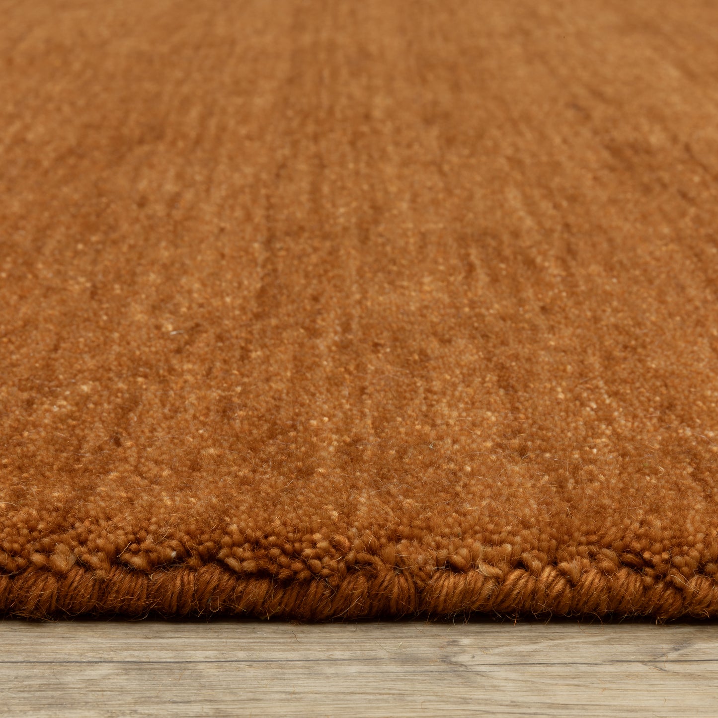 Aniston II Rust Rust Casual Solid Indoor Rug