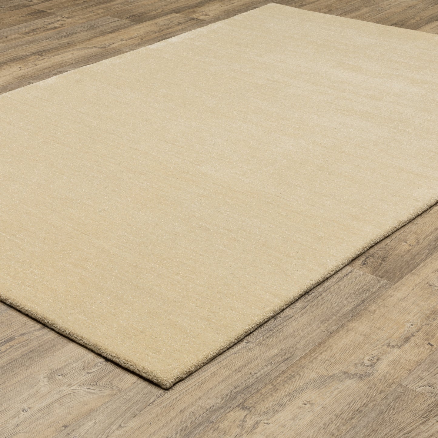 Aniston II Beige Beige Casual Solid Indoor Rug