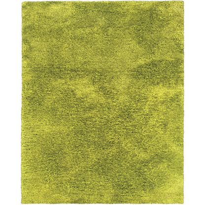 Cosmo Green  Shag Solid Indoor Rug