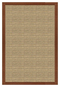 Area Rugs - Sustainable Lifestyles Bone Sisal Rug With Burnt Sienna Cotton Border 4