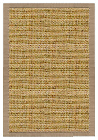 Spice Sisal Rug with Pistachio Shell Cotton Border - Free Shipping 1
