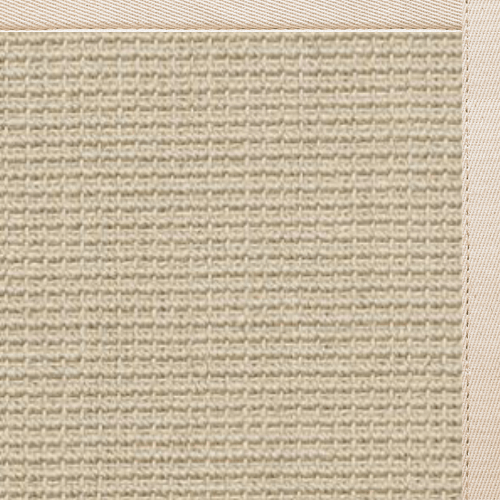 Posh Rug Linen Color Brasilia Sisal Rug with Ivory Cotton Border