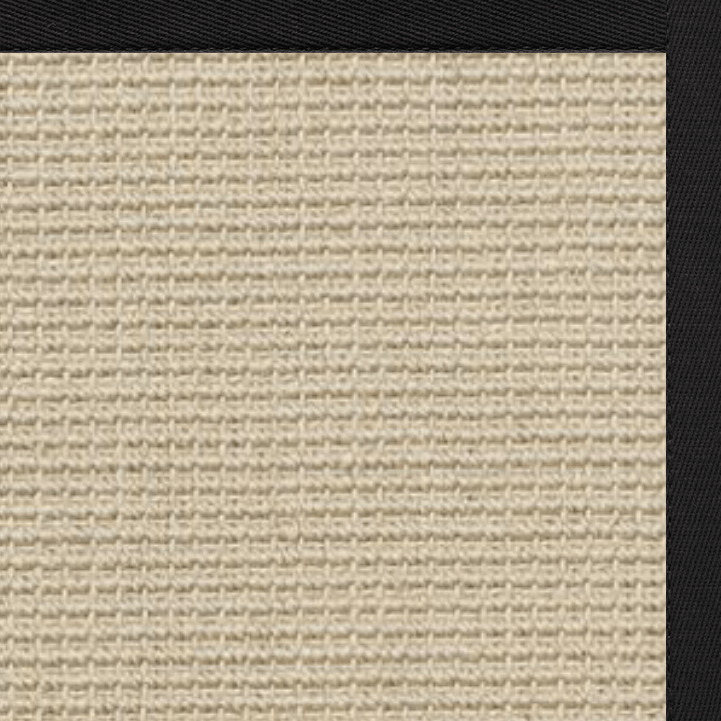 Posh Rug Linen Color Brasilia Sisal Rug with Lava Cotton Border