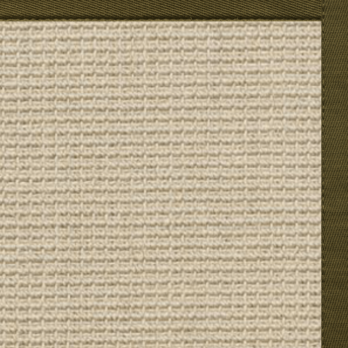 Posh Rug Linen Color Brasilia Sisal Rug with Lichen Cotton Border