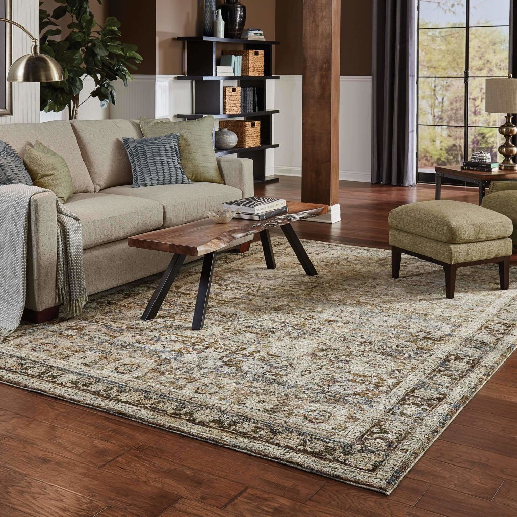 Woven - Andorra Green Brown Oriental Distressed Traditional Rug